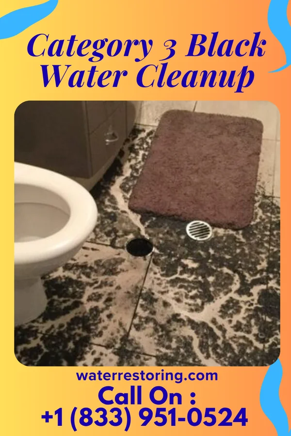 Category 3 Black Water Cleanup in Northlake, IL